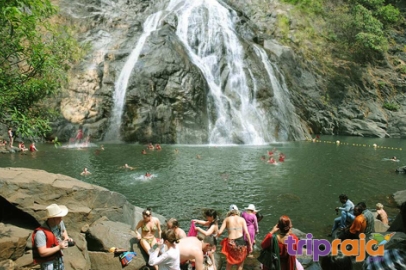 Goa Dudhsagar Package