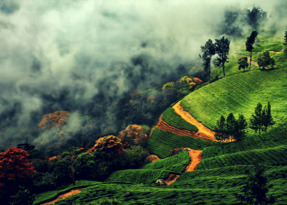 Cochin – Munnar – Houseboat – Cochin