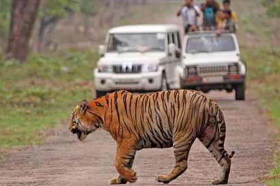 Ranthambore Weekend Tour