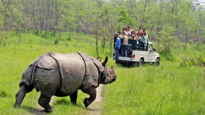 Wildlife Nepal Tour